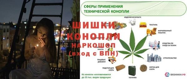 соль курить ск Белокуриха