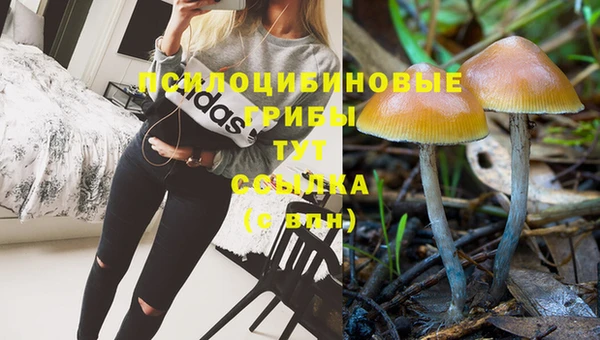 амф Беломорск