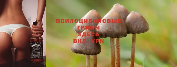 соль курить ск Белокуриха