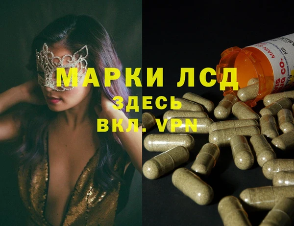 амф Беломорск