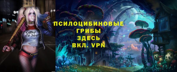 соль курить ск Белокуриха
