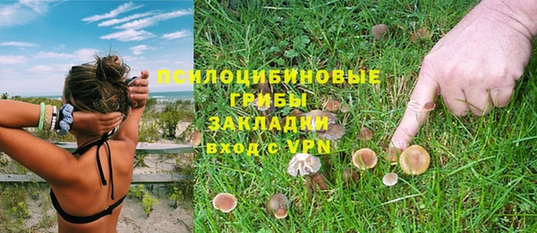 соль курить ск Белокуриха